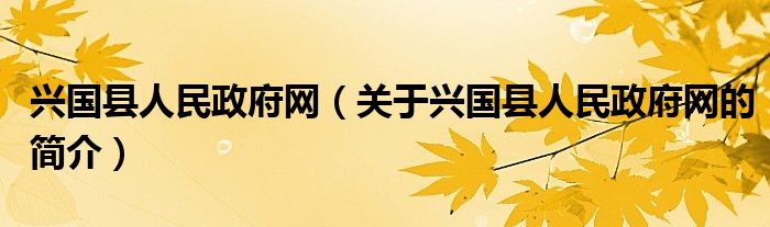 興國縣人民政府網（關于興國縣人民政府網的簡介）