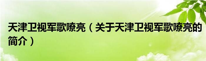 天津衛(wèi)視軍歌嘹亮（關(guān)于天津衛(wèi)視軍歌嘹亮的簡(jiǎn)介）