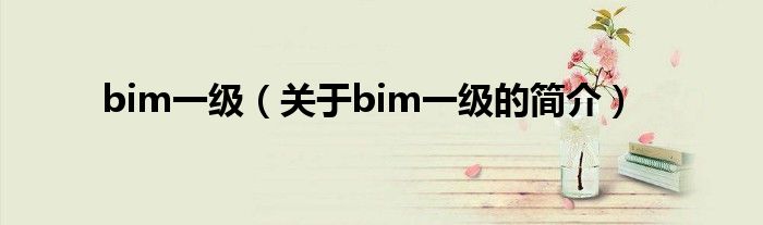 bim一級(jí)（關(guān)于bim一級(jí)的簡介）