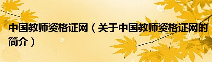 中國教師資格證網(wǎng)（關(guān)于中國教師資格證網(wǎng)的簡介）