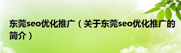 東莞seo優(yōu)化推廣（關(guān)于東莞seo優(yōu)化推廣的簡介）