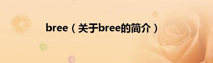 bree（關(guān)于bree的簡介）