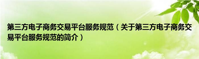 第三方電子商務(wù)交易平臺(tái)服務(wù)規(guī)范（關(guān)于第三方電子商務(wù)交易平臺(tái)服務(wù)規(guī)范的簡(jiǎn)介）