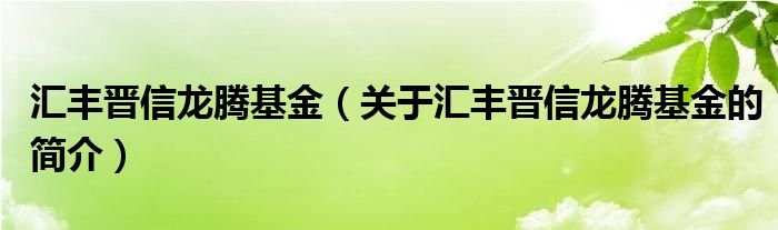 匯豐晉信龍騰基金（關(guān)于匯豐晉信龍騰基金的簡介）