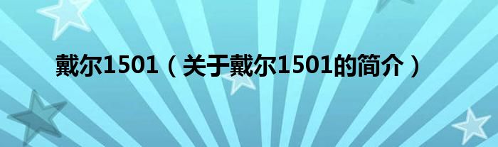 戴爾1501（關(guān)于戴爾1501的簡介）