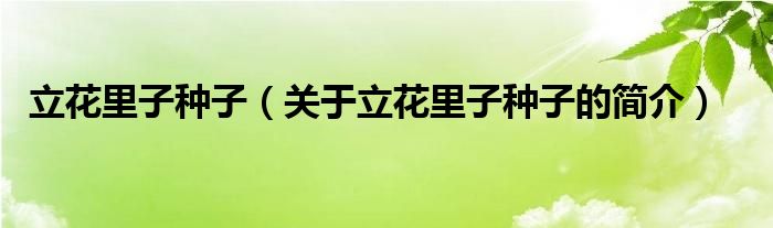 立花里子種子（關(guān)于立花里子種子的簡(jiǎn)介）