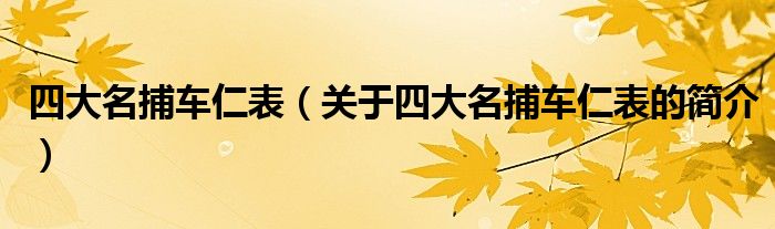 四大名捕車仁表（關(guān)于四大名捕車仁表的簡(jiǎn)介）