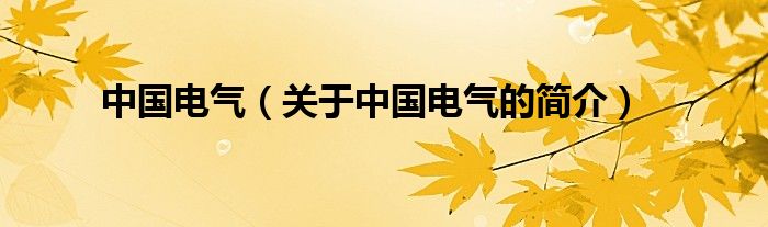 中國電氣（關(guān)于中國電氣的簡(jiǎn)介）