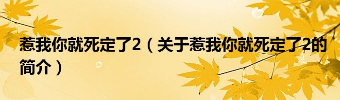 惹我你就死定了2（關(guān)于惹我你就死定了2的簡介）