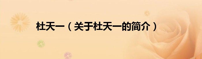 杜天一（關(guān)于杜天一的簡(jiǎn)介）