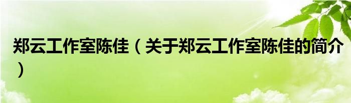 鄭云工作室陳佳（關(guān)于鄭云工作室陳佳的簡(jiǎn)介）