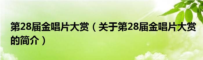 第28屆金唱片大賞（關(guān)于第28屆金唱片大賞的簡介）