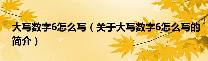 大寫數(shù)字6怎么寫（關(guān)于大寫數(shù)字6怎么寫的簡介）