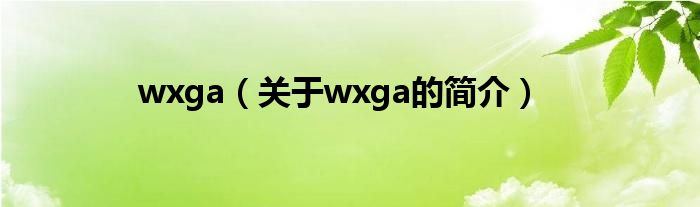 wxga（關(guān)于wxga的簡介）