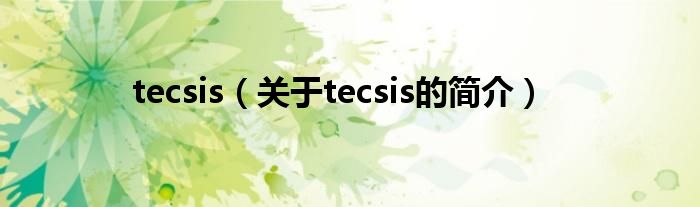 tecsis（關(guān)于tecsis的簡(jiǎn)介）