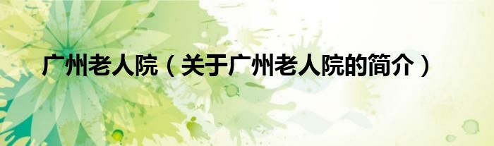 廣州老人院（關(guān)于廣州老人院的簡(jiǎn)介）