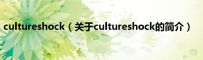 cultureshock（關(guān)于cultureshock的簡(jiǎn)介）