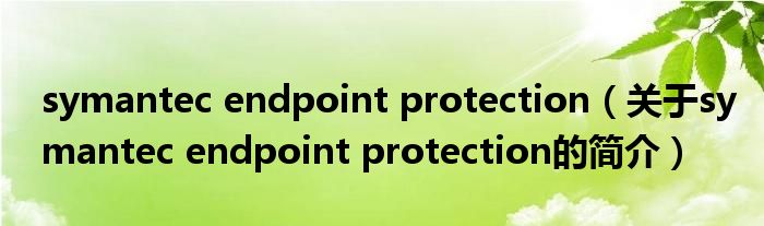 symantec endpoint protection（關(guān)于symantec endpoint protection的簡介）