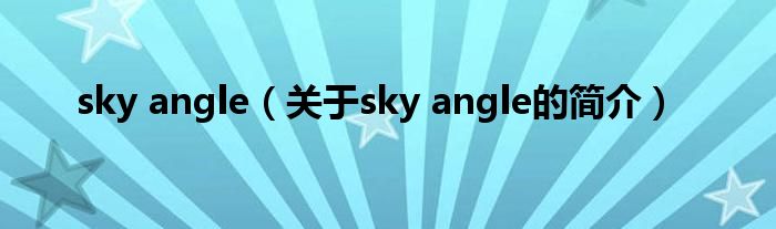 sky angle（關于sky angle的簡介）