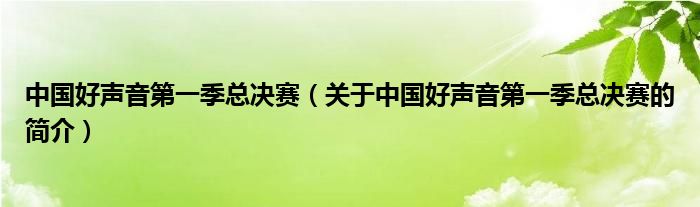 中國好聲音第一季總決賽（關(guān)于中國好聲音第一季總決賽的簡介）