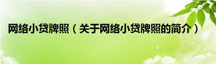 網(wǎng)絡(luò)小貸牌照（關(guān)于網(wǎng)絡(luò)小貸牌照的簡(jiǎn)介）