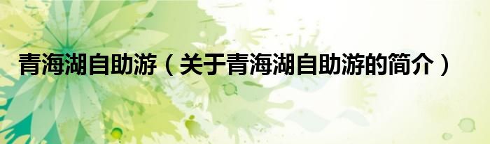 青海湖自助游（關(guān)于青海湖自助游的簡(jiǎn)介）