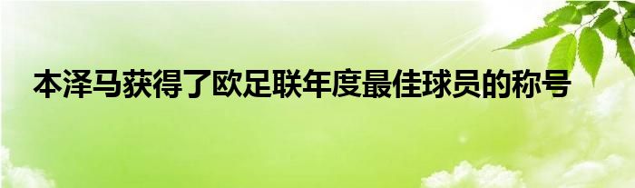 本澤馬獲得了歐足聯(lián)年度最佳球員的稱(chēng)號(hào)