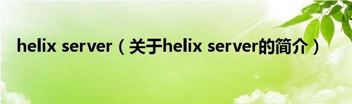 helix server（關于helix server的簡介）