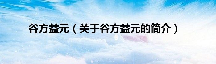 谷方益元（關(guān)于谷方益元的簡(jiǎn)介）