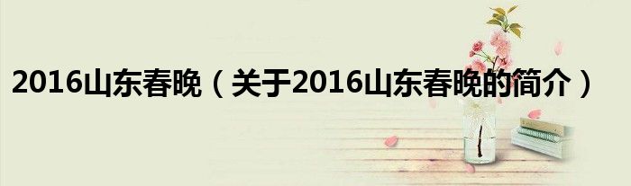 2016山東春晚（關于2016山東春晚的簡介）