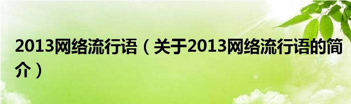 2013網(wǎng)絡(luò)流行語（關(guān)于2013網(wǎng)絡(luò)流行語的簡(jiǎn)介）