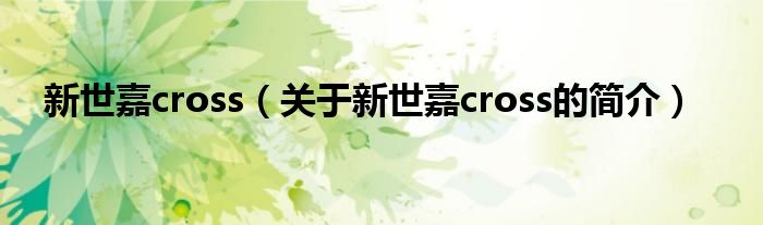 新世嘉cross（關于新世嘉cross的簡介）