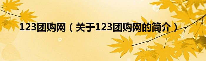 123團(tuán)購(gòu)網(wǎng)（關(guān)于123團(tuán)購(gòu)網(wǎng)的簡(jiǎn)介）