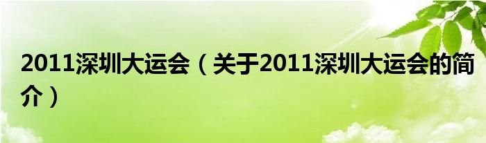 2011深圳大運會（關于2011深圳大運會的簡介）