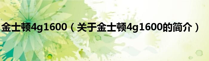 金士頓4g1600（關(guān)于金士頓4g1600的簡(jiǎn)介）