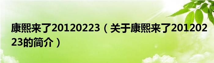 康熙來了20120223（關(guān)于康熙來了20120223的簡介）