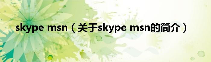 skype msn（關(guān)于skype msn的簡(jiǎn)介）