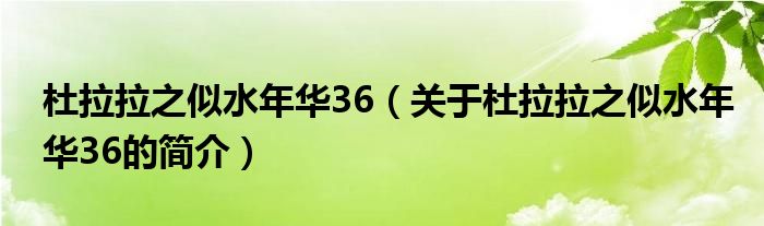 杜拉拉之似水年華36（關(guān)于杜拉拉之似水年華36的簡(jiǎn)介）