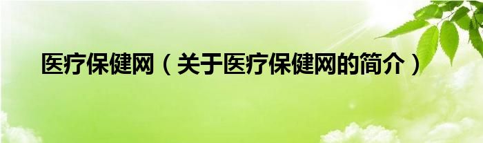 醫(yī)療保健網(wǎng)（關(guān)于醫(yī)療保健網(wǎng)的簡介）