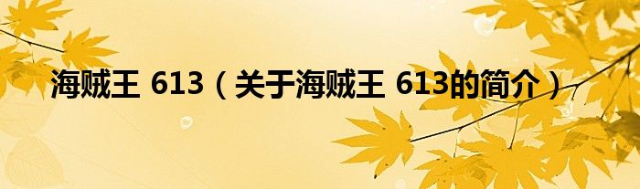 海賊王 613（關于海賊王 613的簡介）