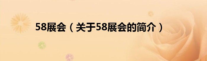 58展會(huì)（關(guān)于58展會(huì)的簡(jiǎn)介）