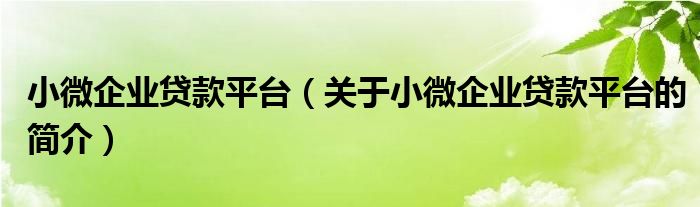 小微企業(yè)貸款平臺（關于小微企業(yè)貸款平臺的簡介）