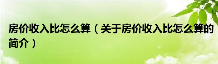 房價收入比怎么算（關(guān)于房價收入比怎么算的簡介）