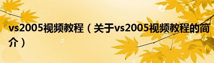 vs2005視頻教程（關(guān)于vs2005視頻教程的簡(jiǎn)介）