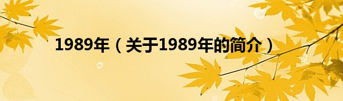 1989年（關(guān)于1989年的簡介）