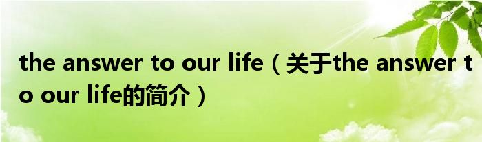 the answer to our life（關(guān)于the answer to our life的簡(jiǎn)介）