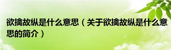 欲擒故縱是什么意思（關(guān)于欲擒故縱是什么意思的簡介）