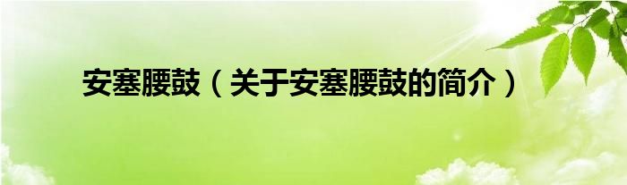 安塞腰鼓（關于安塞腰鼓的簡介）