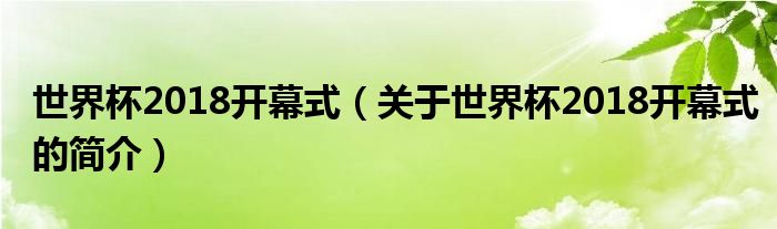 世界杯2018開幕式（關(guān)于世界杯2018開幕式的簡介）