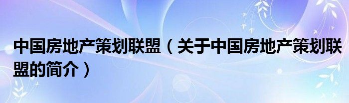 中國房地產(chǎn)策劃聯(lián)盟（關于中國房地產(chǎn)策劃聯(lián)盟的簡介）